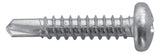 HAUPA Blechschraube Linsenkopf PH ST 790436  4,8x25mm g/vz