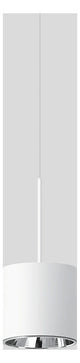 BEGA LED-Pendelleuchte 1LED 3000K 2264lm 51164.1K3 Konv sym IP20