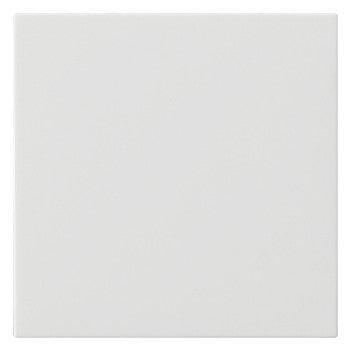 GIRA Wippe Schalter rws mt System 55 537227