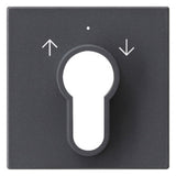 GIRA Schlüssel/Abd Jalousie anth System 55 066428 Pfeile