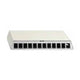 RUTENBECK Patchpanel AP 12Ports Cat6 PP-UM A-12 Ap rw Schirm RAL9010