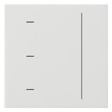GIRA Bedienelement 1f rws f.Dimmeins glz System 3000 536503