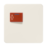 JUNG Klinik Abdeckung cws ZP glz CD 071 C