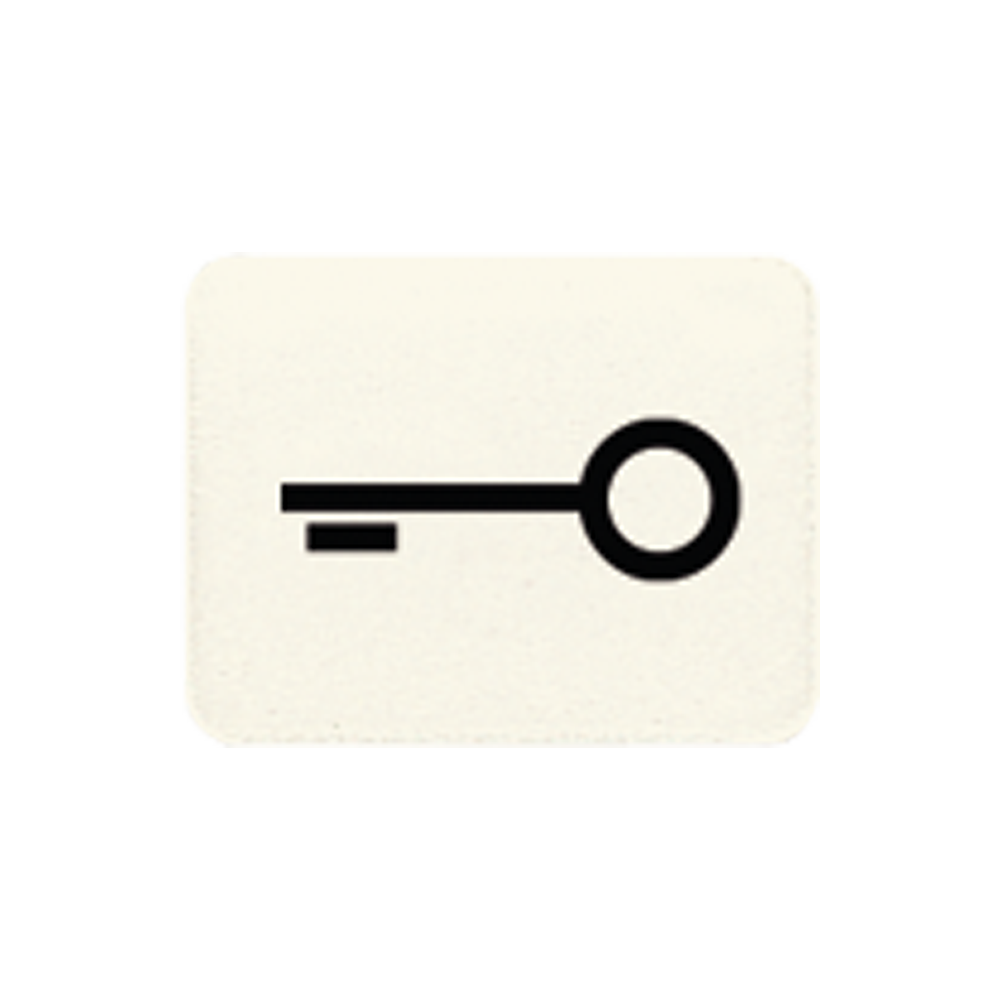 JUNG Schalter-Symbol Schl/Tür ws all 33 T
