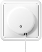 JUNG Zugschalter aws glz Zugschnur UP CD 5506 ZU WW IP20