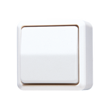 JUNG Wechselschalter aws glz AP IP20 1f AP 600 606 A WW