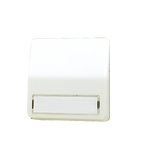 JUNG Wippe Schalter ws glz BSF AP 600 60 NA