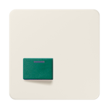 JUNG Klinik Abdeckung cws ZP glz CD 642 C