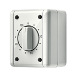 JUNG Zeitschalter mech 2S gr 0-120min AP WG 800 8012 W 250V