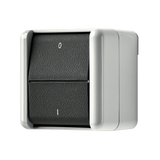 JUNG Heizungsschalter gr glz AP IP44 2p WG 800 802 W 1f