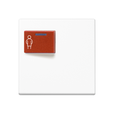 JUNG Klinik Abdeckung aws ZP glz AS/A A 071 C WW