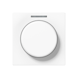 JUNG Drehknopf Symbol Dimmer aws glz AS/A A 1540 KO5 WW