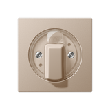 JUNG Knebel Jalousie champ glz A 1541 CH