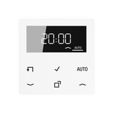 JUNG Zeitschalter elektronisch AP 1min AS/A A 1750 D WW Astro ws glz