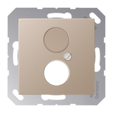 JUNG Zentralplatte LS 2f champ A 562 CH Schraubbef