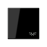 JUNG Wippe Schalter sw glz Licht A 590 BF L SW
