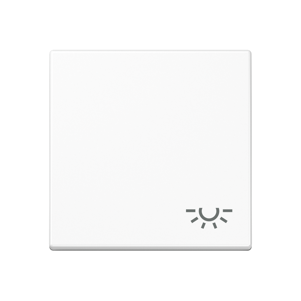 JUNG Wippe Schalter aws glz Licht A 590 BF L WW