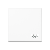 JUNG Wippe Schalter aws glz Licht A 590 BF L WW