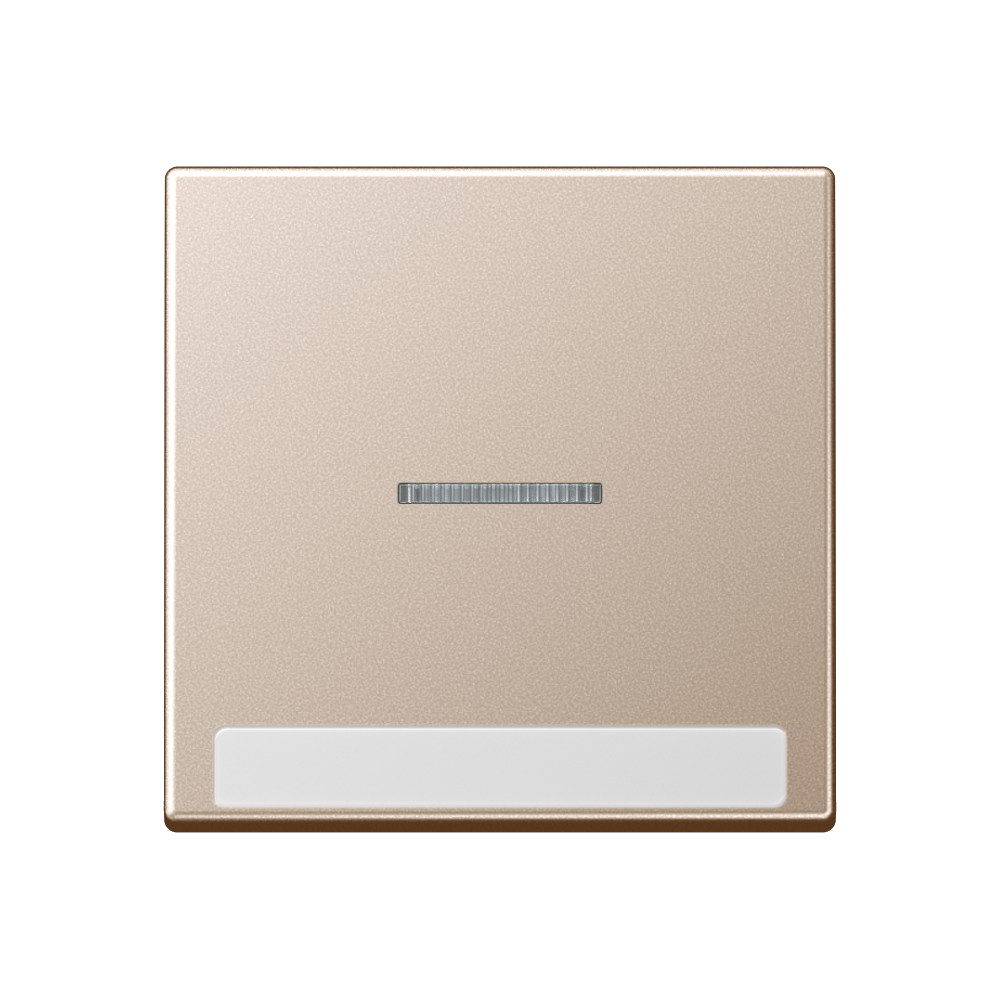 JUNG Kontrollwippe Schalter champ glz A 590 BF N KO5 CH f.Bussystem BSF