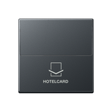 JUNG Hotelcard Schalter anth mt A 590 CRD NM