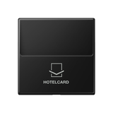 JUNG Hotelcard Schalter gra-sw mt A 590 CRD SWM Hotelcard