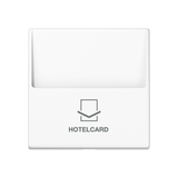 JUNG Hotelcard Schalter aws glz AS/A A 590 CARD WW