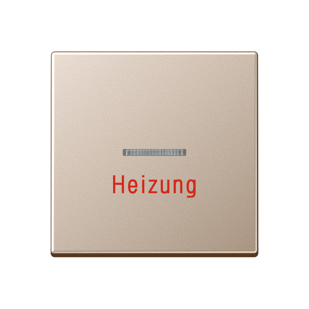JUNG Kontrollwippe Schalter champ glz A 590 H CH