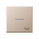 JUNG Wippe 1t Schalter champ glz A 590 KO5 L CH Klingel
