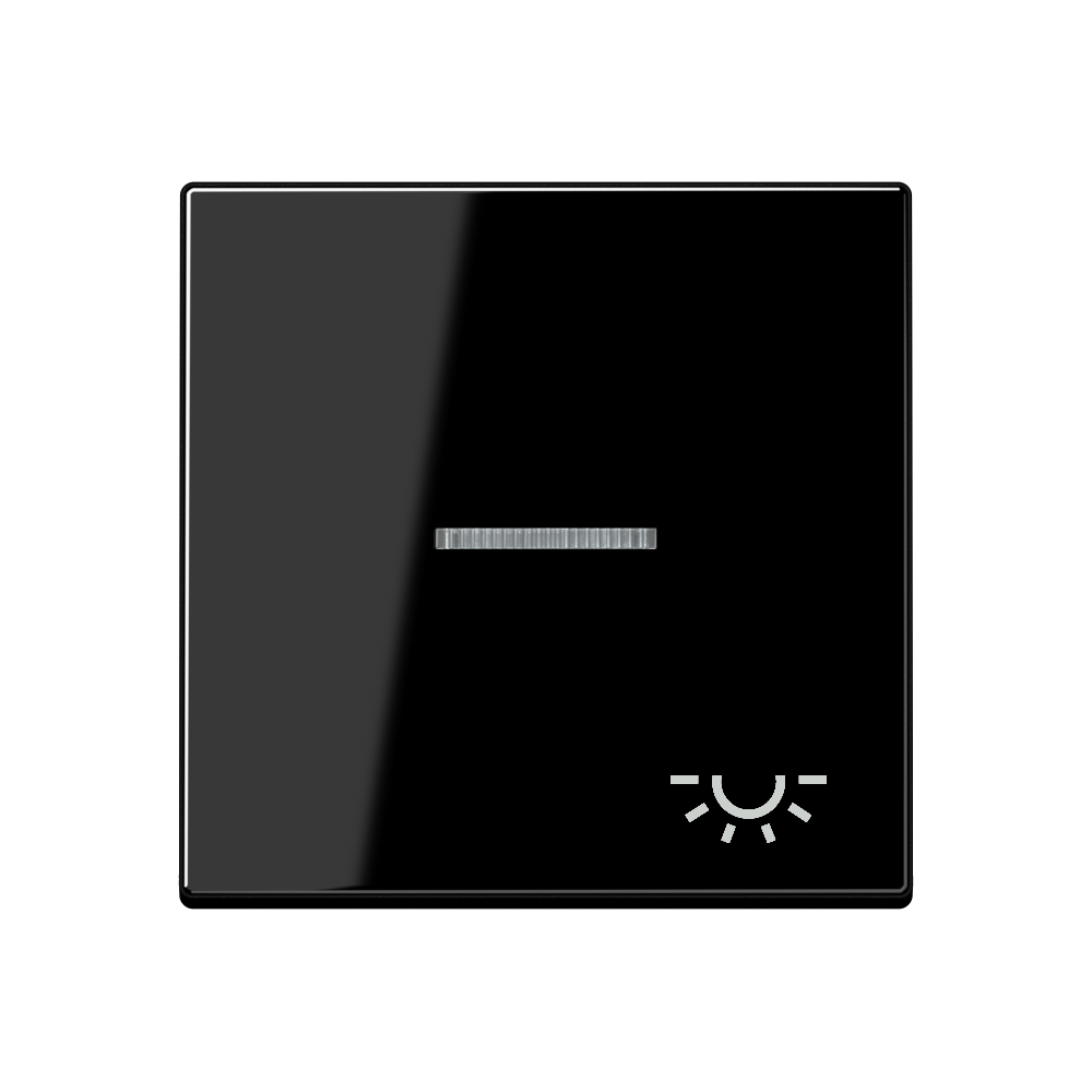 JUNG Wippe 1t Schalter sw glz Klingel A 590 KO5 L SW