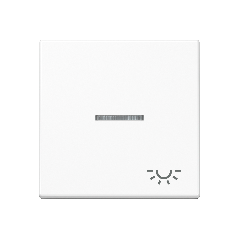JUNG Wippe 1t Schalter aws glz Licht A 590 KO5 L WW