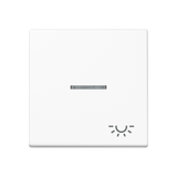 JUNG Wippe 1t Schalter aws glz Licht A 590 KO5 L WW