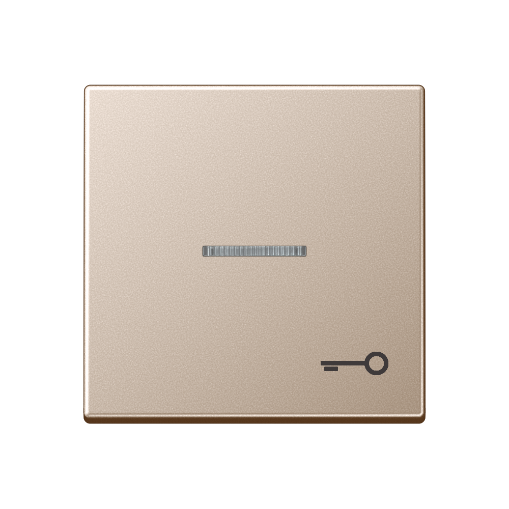 JUNG Wippe 1t Schalter champ glz A 590 KO5 T CH Schl/Tür
