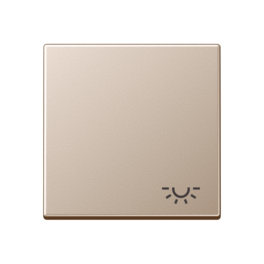 JUNG Wippe Schalter champ glz Licht A 590 L CH