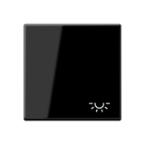JUNG Wippe Schalter sw glz Licht A 590 L SW