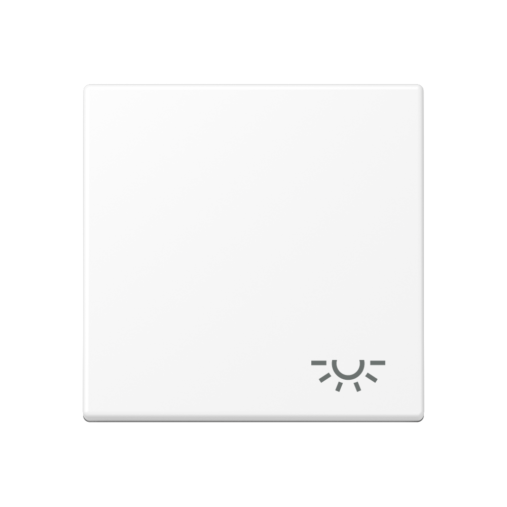 JUNG Wippe Schalter schn-ws mt Licht A 590 L WWM