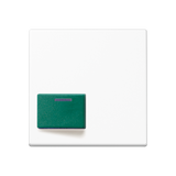 JUNG Klinik Abdeckung aws ZP glz AS/A A 642 C WW
