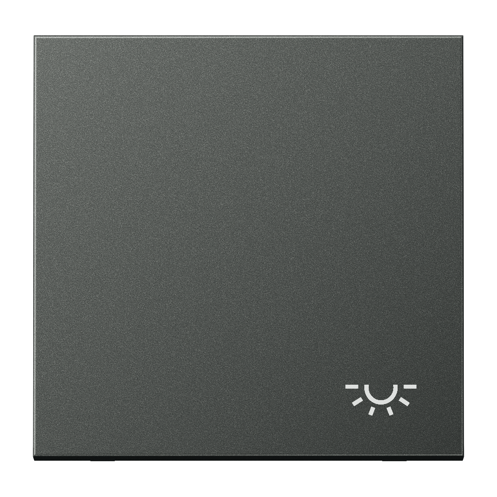 JUNG Wippe Schalter anth mt Licht LS AL 2990 L AN