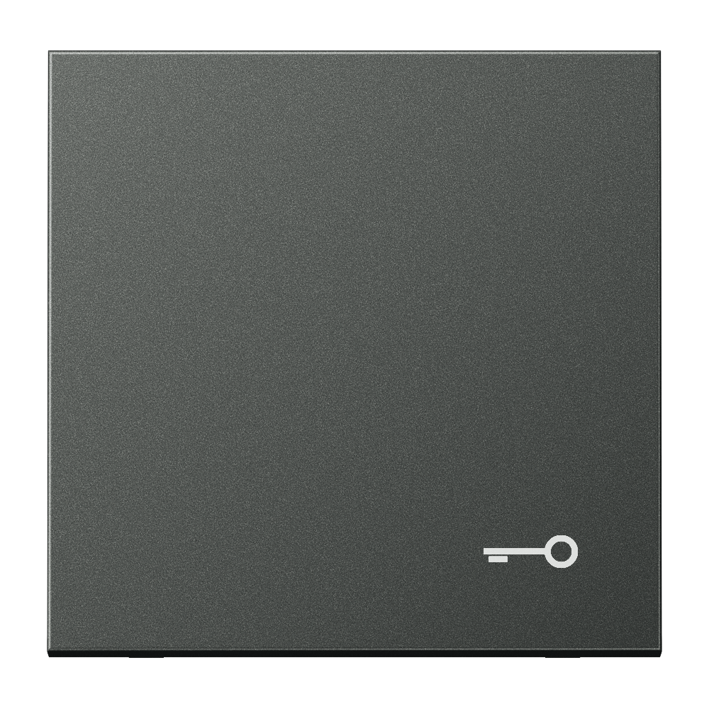 JUNG Wippe Schalter anth mt Schl/Tür LS AL 2990 T AN