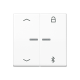 JUNG UP-BT-Timer-Einsatz aws glz AS 1751 PBT WW Basis+zentr.Abdeckpl
