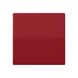 JUNG Wippe Schalter rt glz AS 591 BF RT