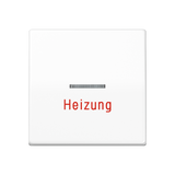 JUNG Zentralplatte Schalter aws glz AS 591 H WW