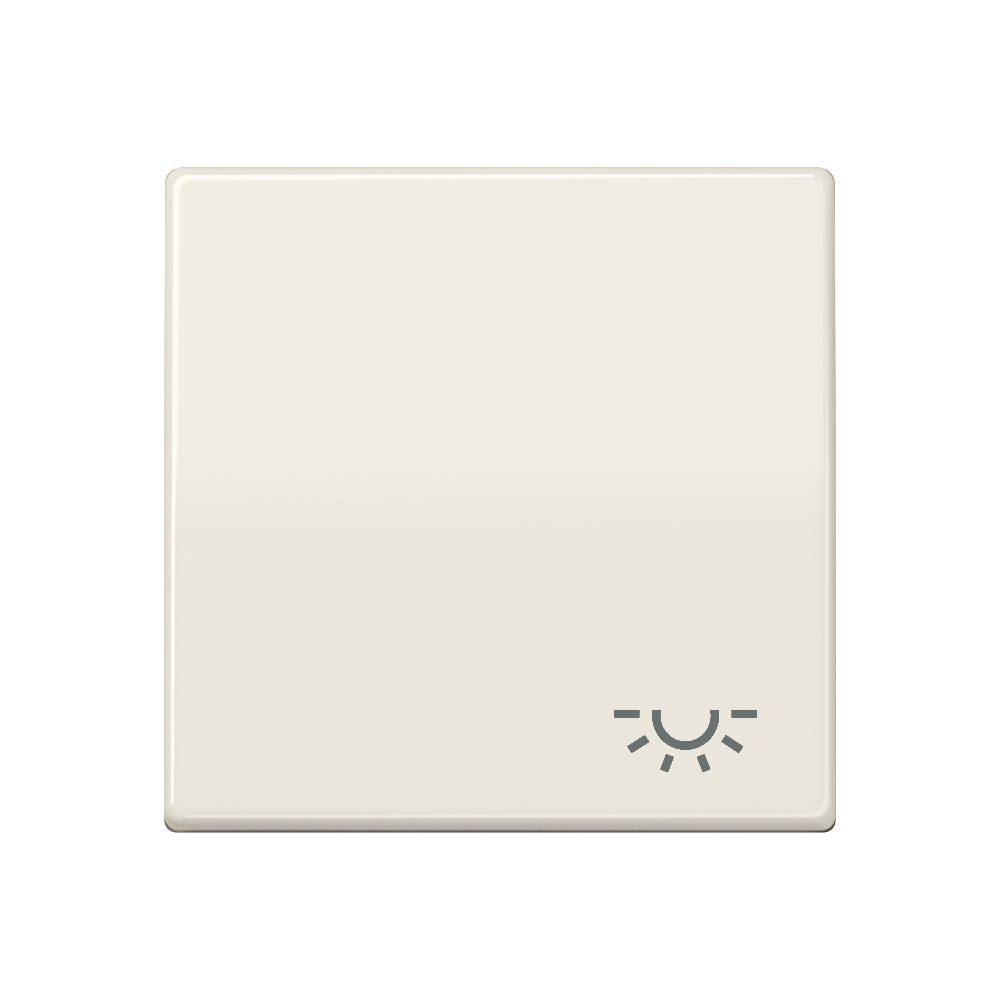 JUNG Wippe Schalter ws glz Licht AS 591 L