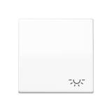 JUNG Wippe Schalter aws glz Licht AS 591 L WW