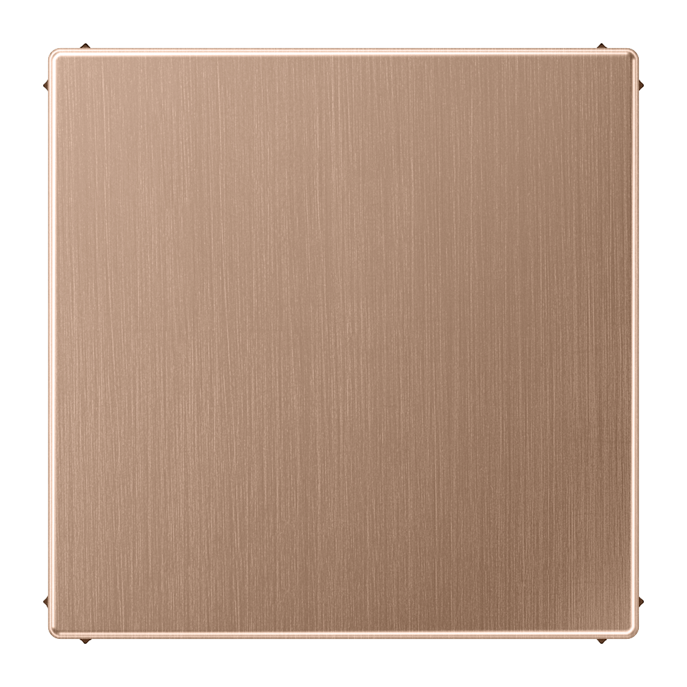 JUNG Blindplatte Blende brz BRG 2994 B