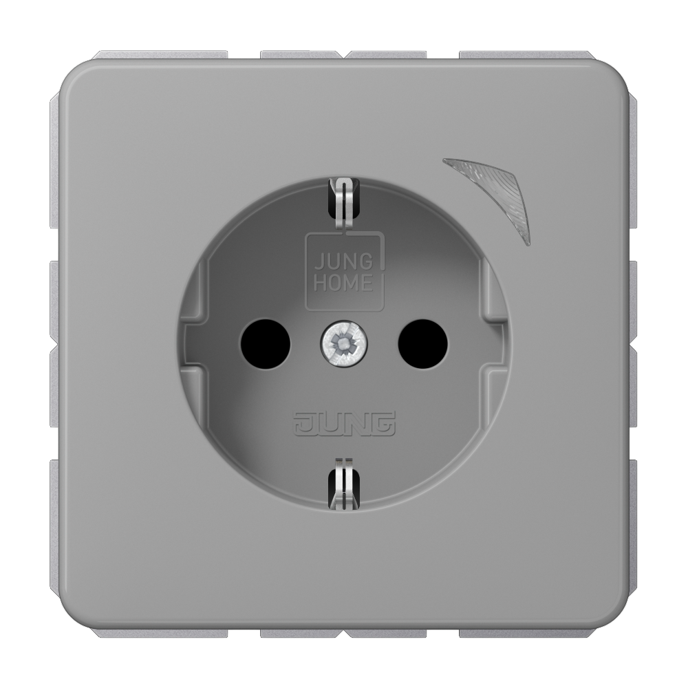 JUNG Steckdose 1f gr glz UP m.BS IP20 BT CD 1521 SE GR vert