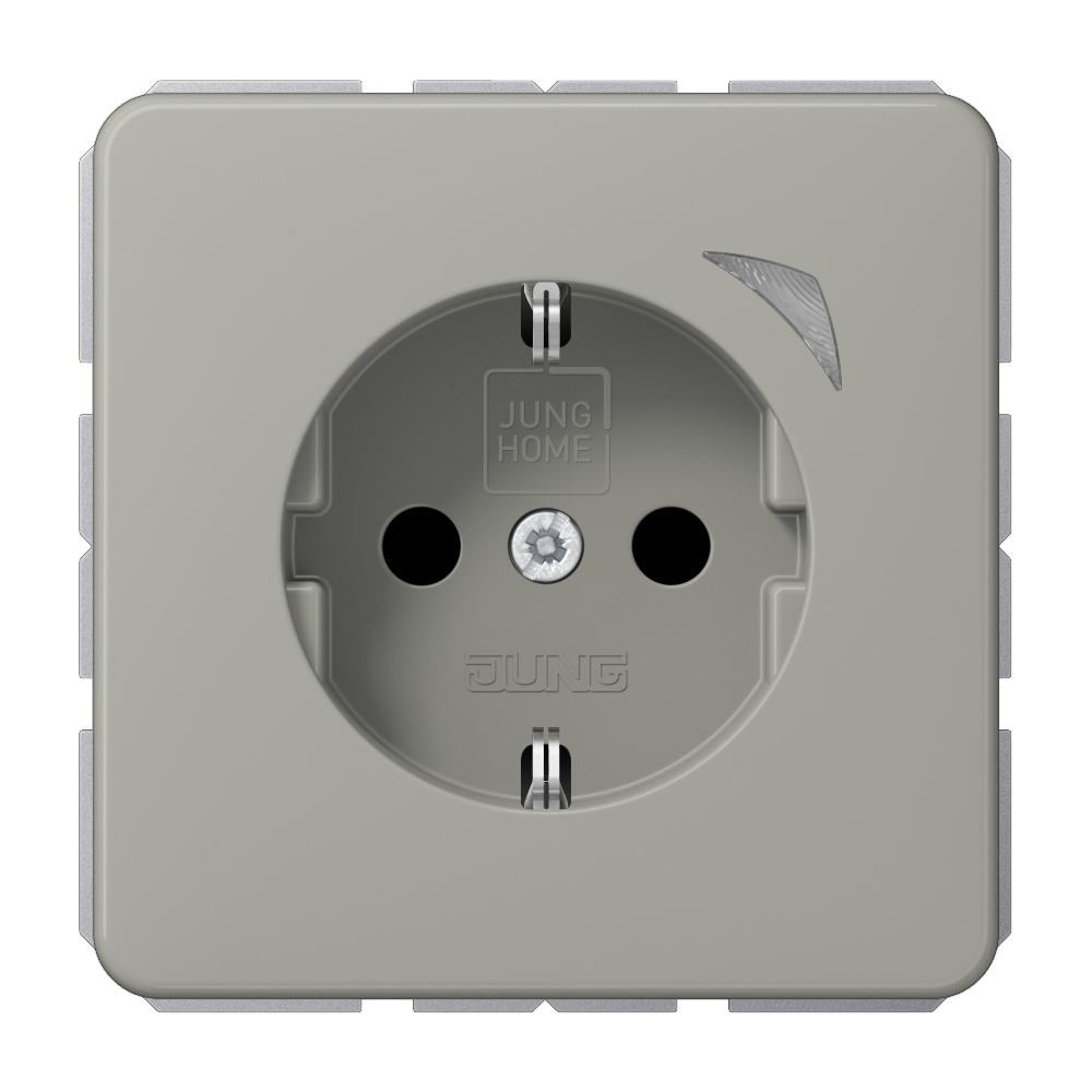 JUNG Steckdose 1f pt mt UP m.BS IP20 BT CD 1521 S PT vert
