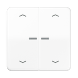 JUNG Bedienelement 2f aws m.Abd glz LED BT CD 17102 P WW f.Dimmeins