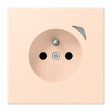 JUNG Steckdose 1f ros_pal mt UP m.BS BT LC 1521 F S 228 Schutzk IP20 vert