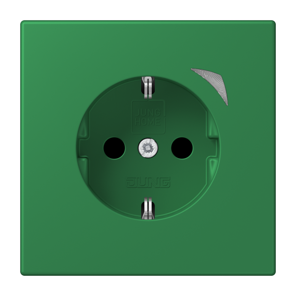 JUNG Steckdose 1f gn mt UP m.BS IP20 BT LC 1521 SE 219 vert
