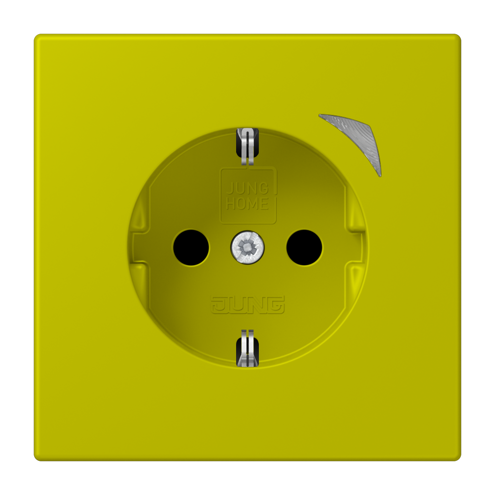 JUNG Steckdose 1f gn mt UP m.BS IP20 BT LC 1521 SE 249 vert